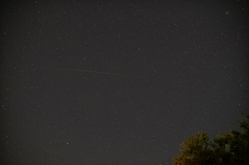 Perseid (11)